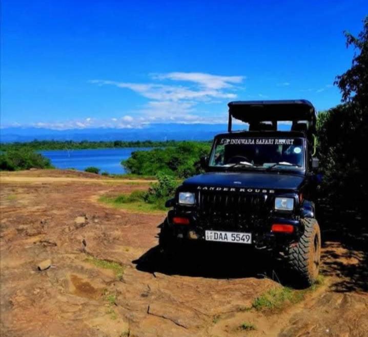 Induwara Safari Resort ウダワラウェ エクステリア 写真