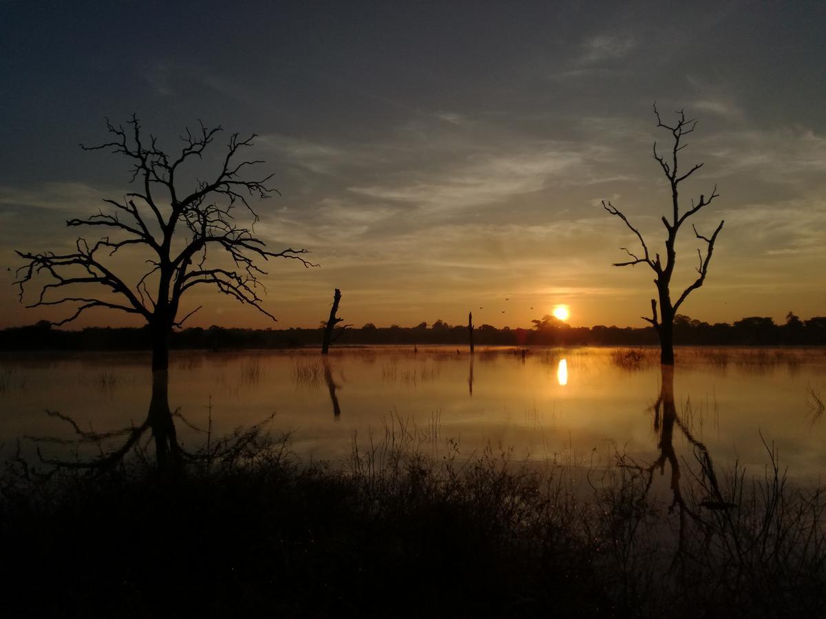 Induwara Safari Resort ウダワラウェ エクステリア 写真