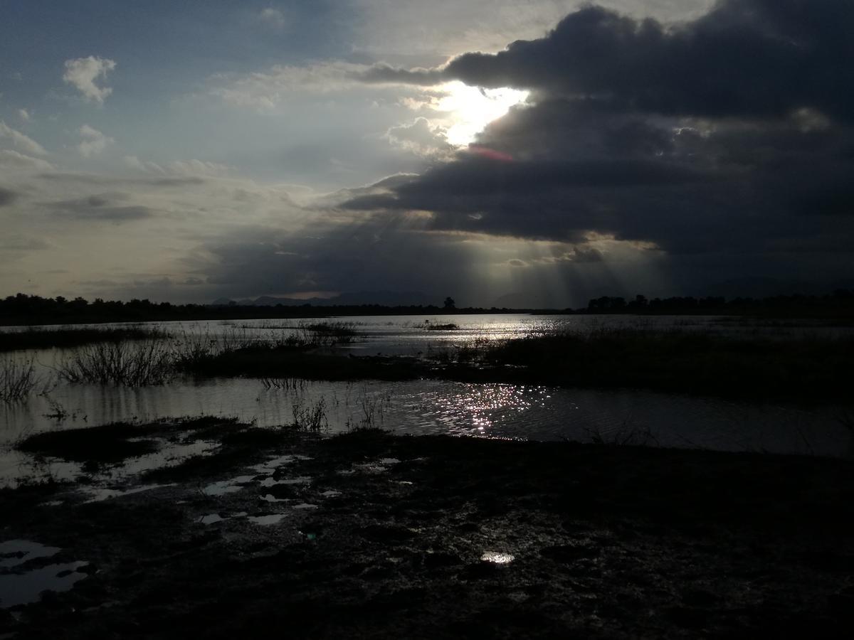 Induwara Safari Resort ウダワラウェ エクステリア 写真